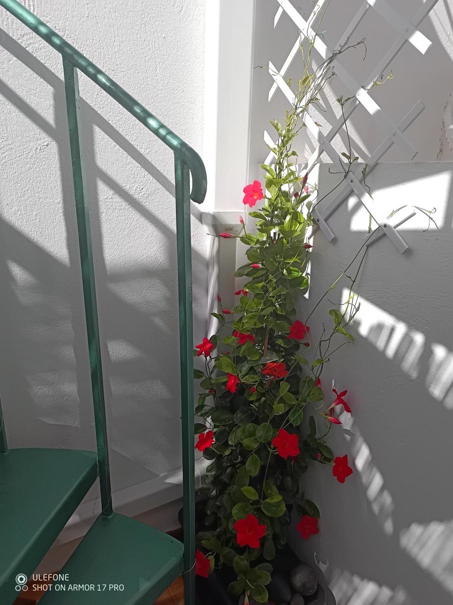Casa Vitamin Sea Appartement Caleta de Fuste